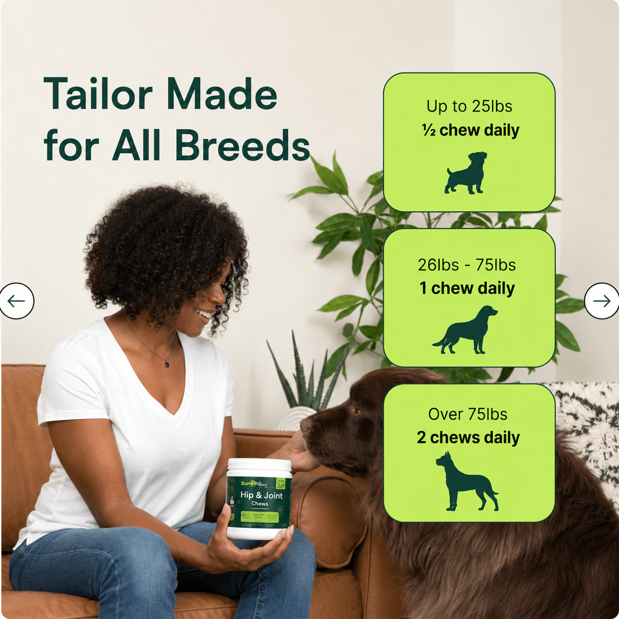 Advanced Hip & Joint Support Chews - VitalPaw