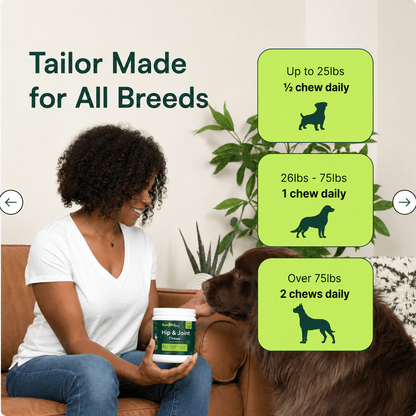 Advanced Hip & Joint Support Chews - VitalPaw