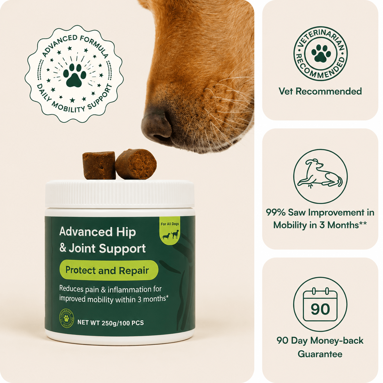 Advanced Hip & Joint Support Chews - VitalPaw